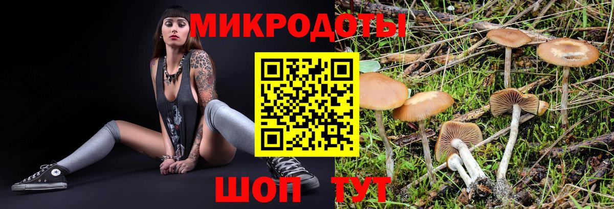 Галлюциногенные грибы прущие грибы Усть-Илимск