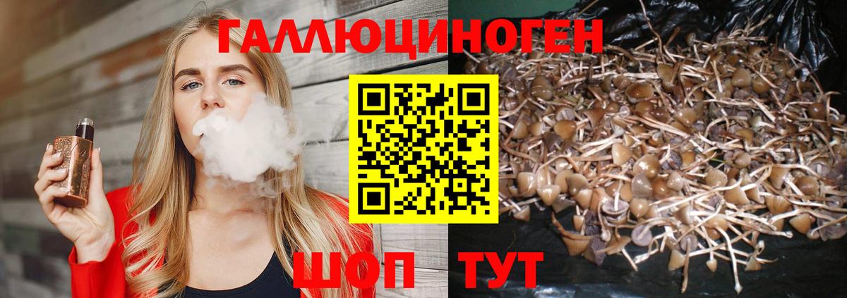 Усть-Илимск  где продают наркотики  Вход с VPN  Галлюциногенные грибы мицелий 